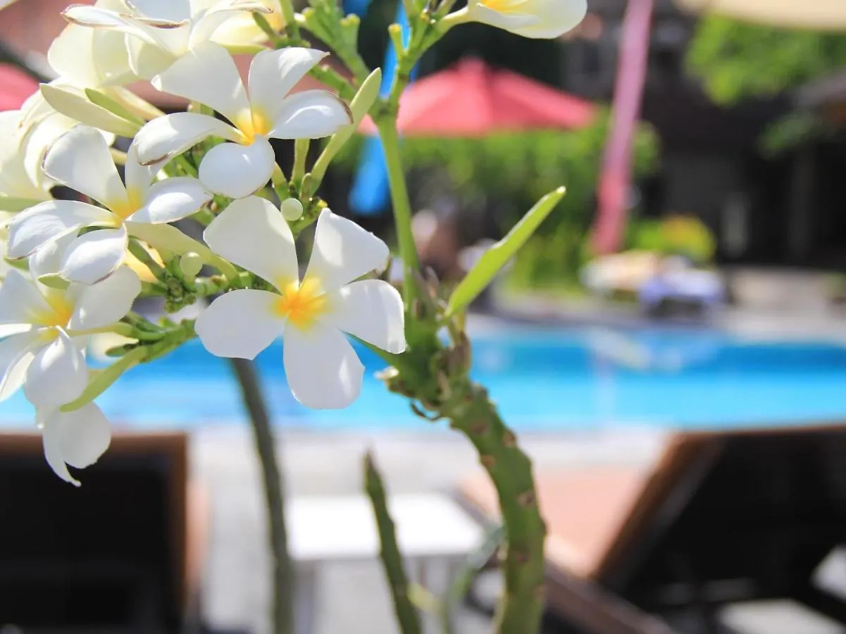 Suji Bungalow Kuta Lombok 2*,  Indonésia