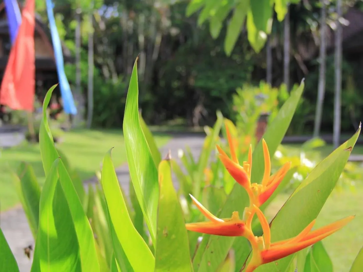 Suji Bungalow Kuta Lombok